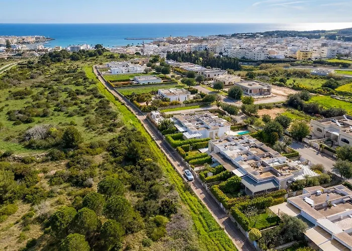 Willa I Gabbiani A *