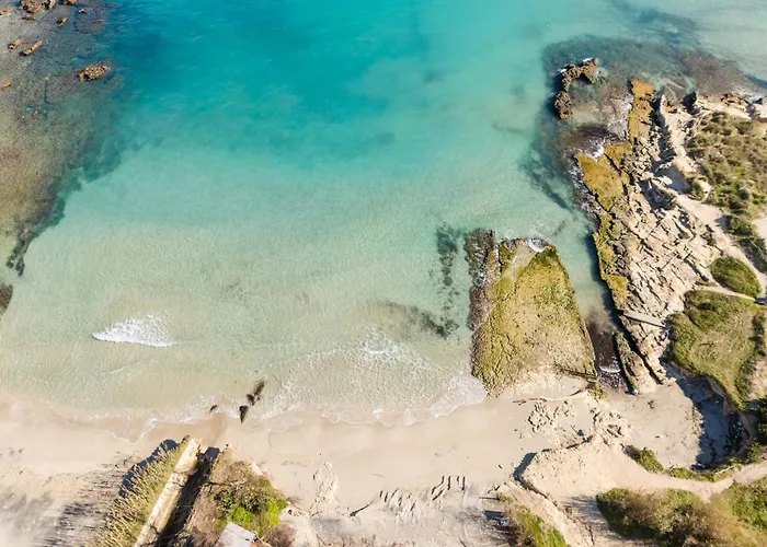 Willa I Gabbiani A *